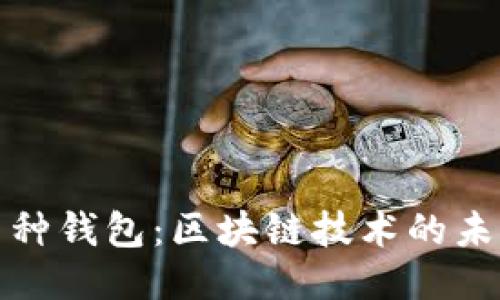 探索多币种钱包：区块链技术的未来与挑战