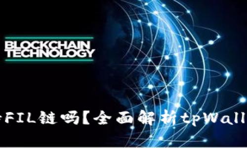tpWallet支持FIL链吗？全面解析tpWallet的多链特性