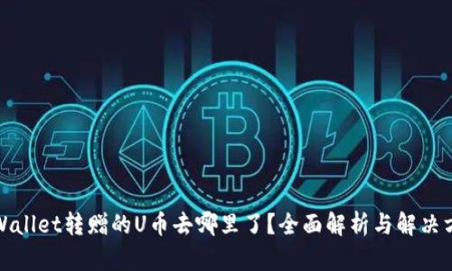 tpWallet转赠的U币去哪里了？全面解析与解决方案