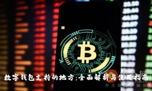 数字钱包支持的地方：全面解析与使用指南