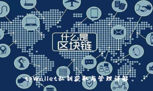 tpWallet私钥获取与管理详解
