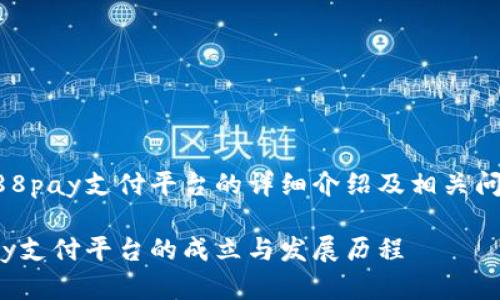 关于988pay支付平台的详细介绍及相关问题分析

988pay支付平台的成立与发展历程