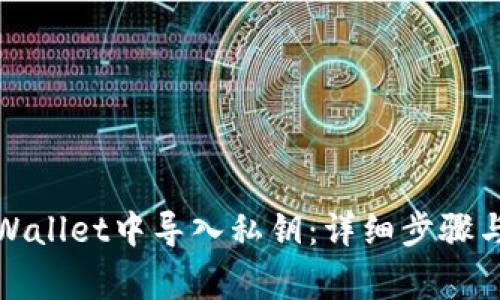 如何在tpWallet中导入私钥：详细步骤与注意事项