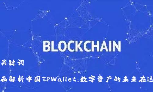 和关键词

全面解析中国TPWallet：数字资产的未来在这里