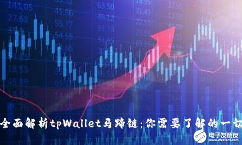 全面解析tpWallet马蹄链：你需要了解的一切