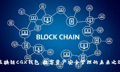 区块链CGX钱包：数字资产安全管理的未来之选