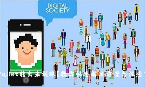 tpWallet转出未到账？教你快速解决方案与注意事项