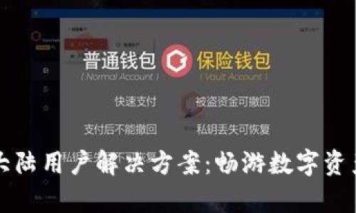 tpWallet不支持大陆用户解决方案：畅游数字资产世界的替代选择