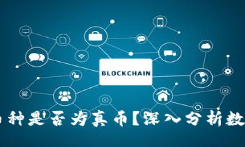 header
    tpWallet里的币种是否为真币？深入分析数字货币的真实与虚假