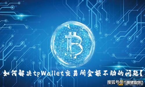 如何解决tpWallet交易所金额不动的问题？