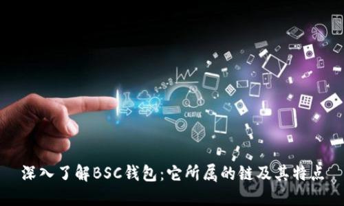 深入了解BSC钱包：它所属的链及其特点