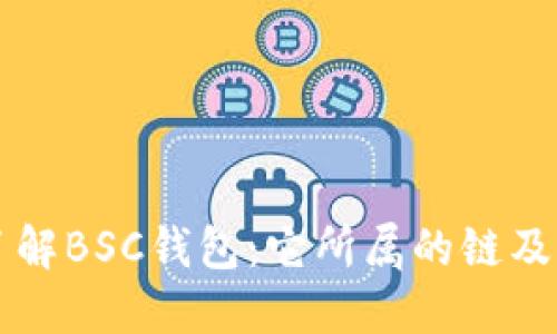 深入了解BSC钱包：它所属的链及其特点