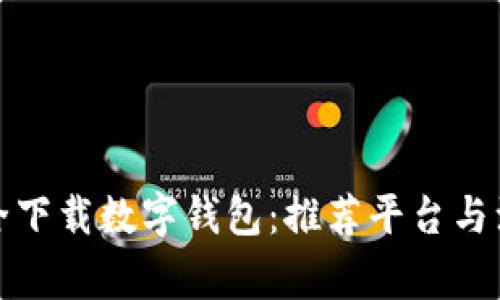 如何安全下载数字钱包：推荐平台与注意事项