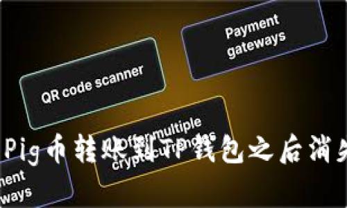 如何解决Pig币转账到TP钱包之后消失的问题？