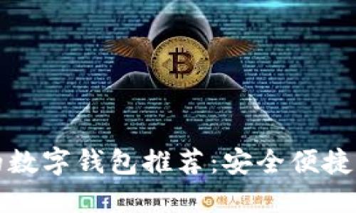 适合新手的数字钱包推荐：安全便捷的选择指南