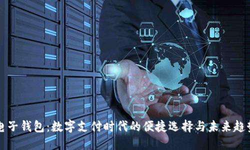 电子钱包：数字支付时代的便捷选择与未来趋势