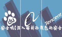 TP上的冷钱包安全吗？深入解析冷钱包的安全性与
