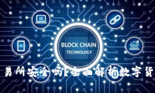 tpWallet转到交易所安全吗？全面解析数字货币转账的安全性