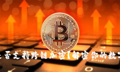 硬件钱包是否支持跨链加密？解密你的数字资产之道