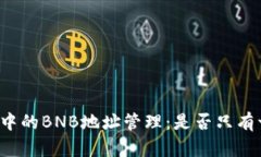 tpWallet中的BNB地址管理：是否只有一个地址？