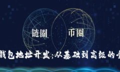 区块链钱包地址开发：从基础到高级的全面指南