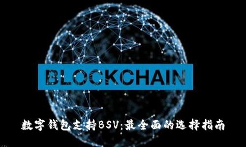 数字钱包支持BSV：最全面的选择指南
