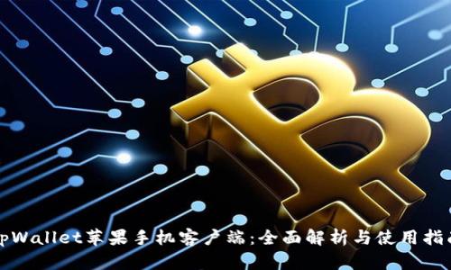tpWallet苹果手机客户端：全面解析与使用指南