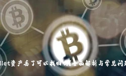 tpWallet资产丢了可以找回吗？全面解析与常见问题解答
