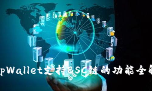 tpWallet支持BSC链的功能全解